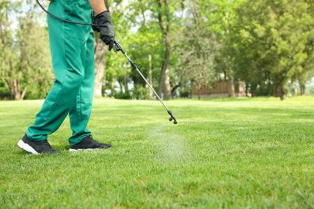 Weed Control & Fertilization: Why These Services Are the Foundation of a Healthy Lawn Thumbnail