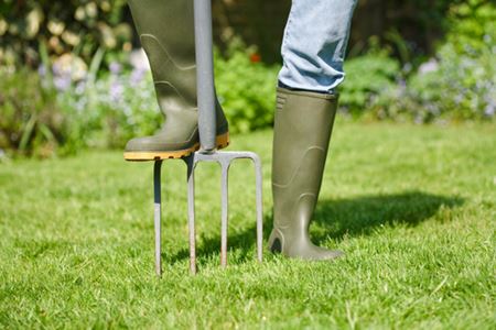 Lawn Aeration