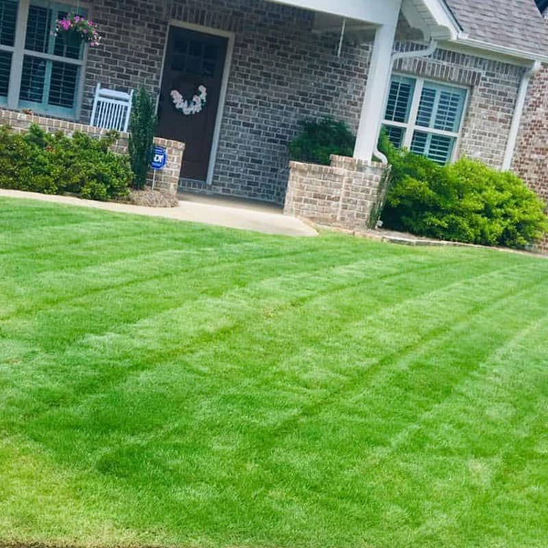 Expert Lawn Care Image