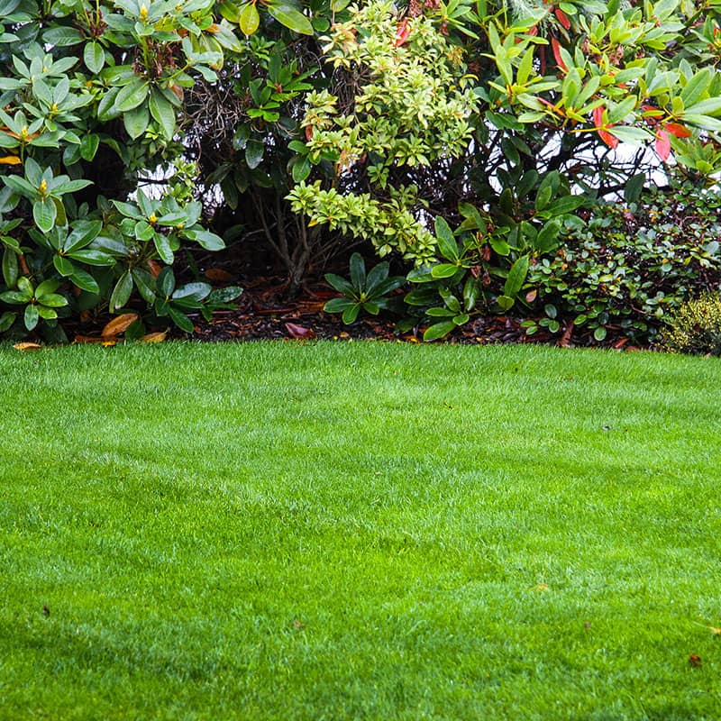 Local Lawn Care Banner Image